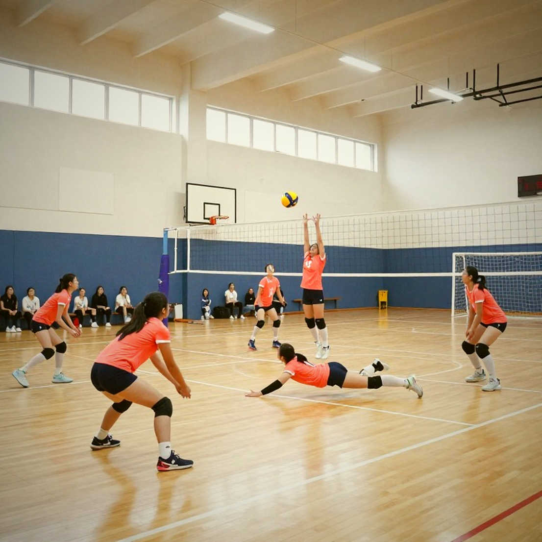 Bóng chuyền nữ Việt Nam tại VNL 2026: Cuộc kiểm tra dữ liệu sau tấm vé lịch sử