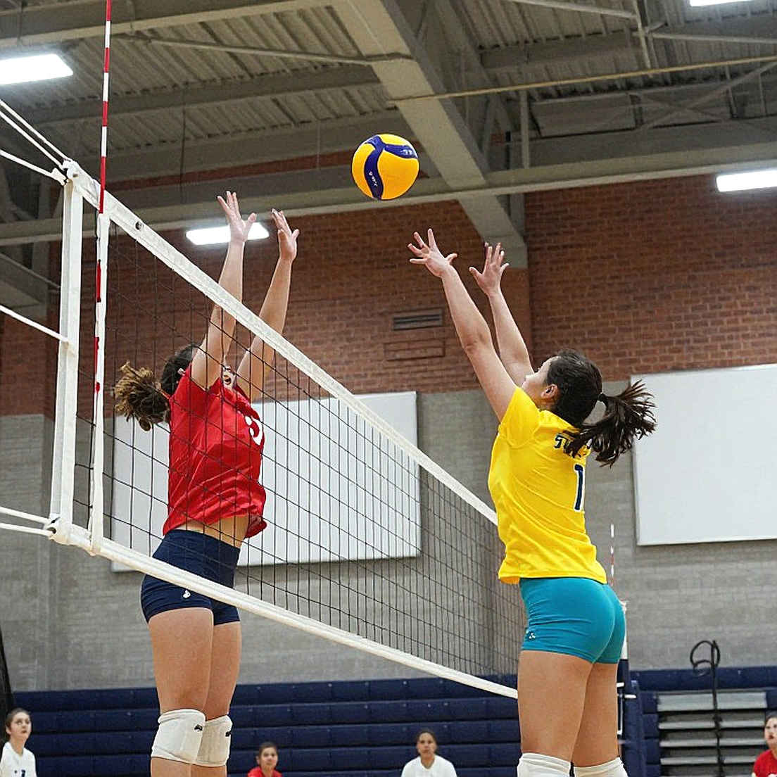 Honda Center Set to Become 2028 Olympic Volleyball Rehearsal Stage in Anaheim Honda Center Set to Become 2028 Olympic Volleyball Rehearsal Stage in Anaheim