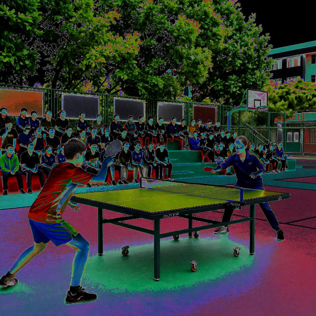 Chinese Table Tennis and the Rhythm Fracture of the 2028 Olympic Cycle: When the System Breaks Before the Serve Chinese Table Tennis and the Rhythm Fracture of the 2028 Olympic Cycle: When the System Breaks Before the Serve